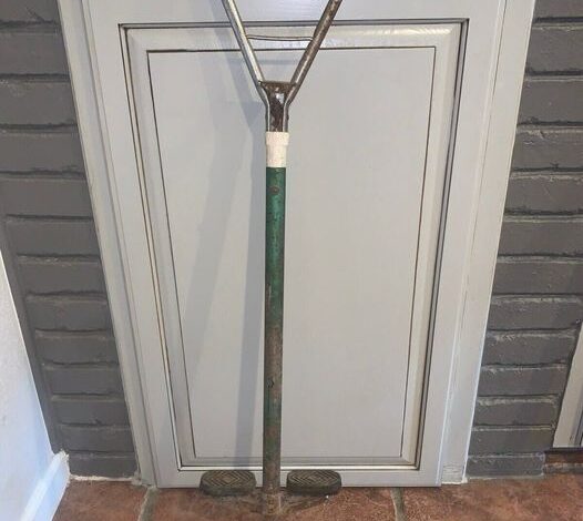 A Journey Through Time