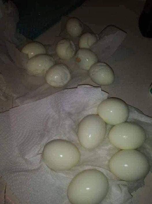 Chef’s Clever Hack for Perfectly Peeled Hard-Boiled Eggs