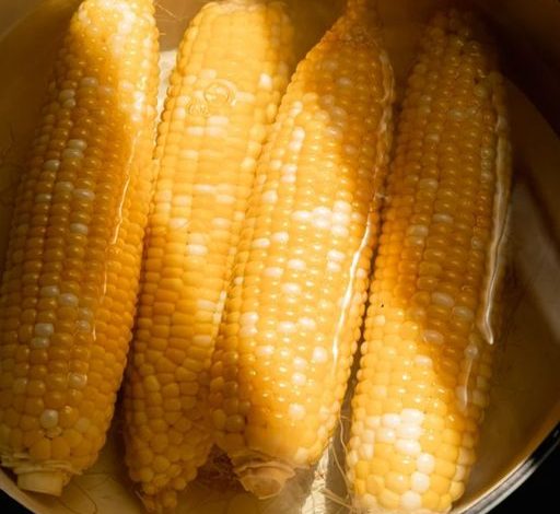 Perfect Corn on the Cob for Summer Delights