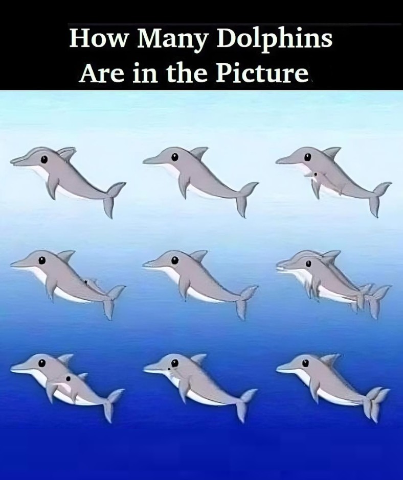 RIDDLE: How Many Dolphins Are in the Picture?