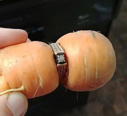 Woman Discovers Lost Engagement Ring Around Carrot After 13 Years