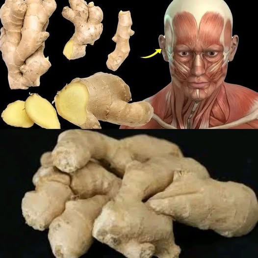 What Happens To Your Body When You Eat Ginger Everyday  You better know it, ASAP!