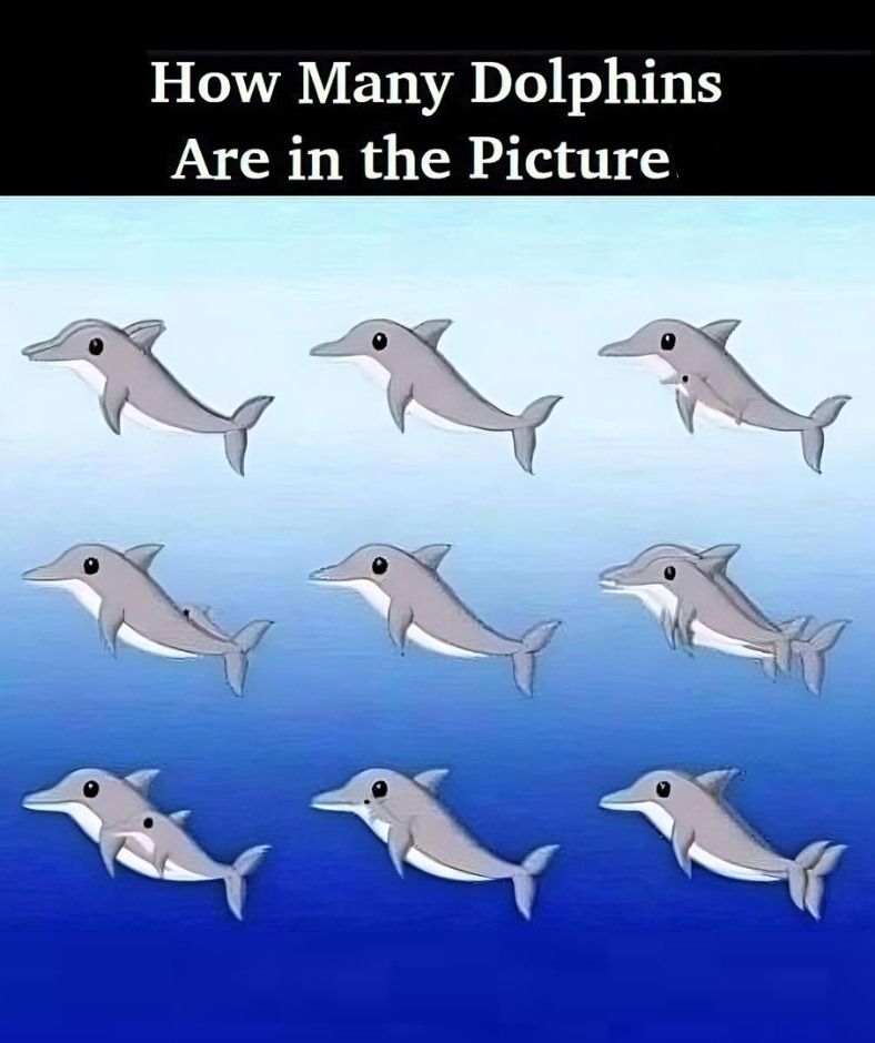 RIDDLE: How Many Dolphins Are in the Picture?
