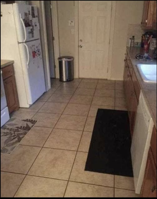 Can you find the large dog hiding in this kitchen?