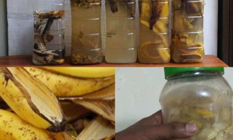 A Surprising Solution for Your Banana Peels