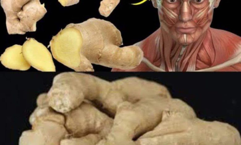 Surprising Health Benefits of Eating Ginger Every Day