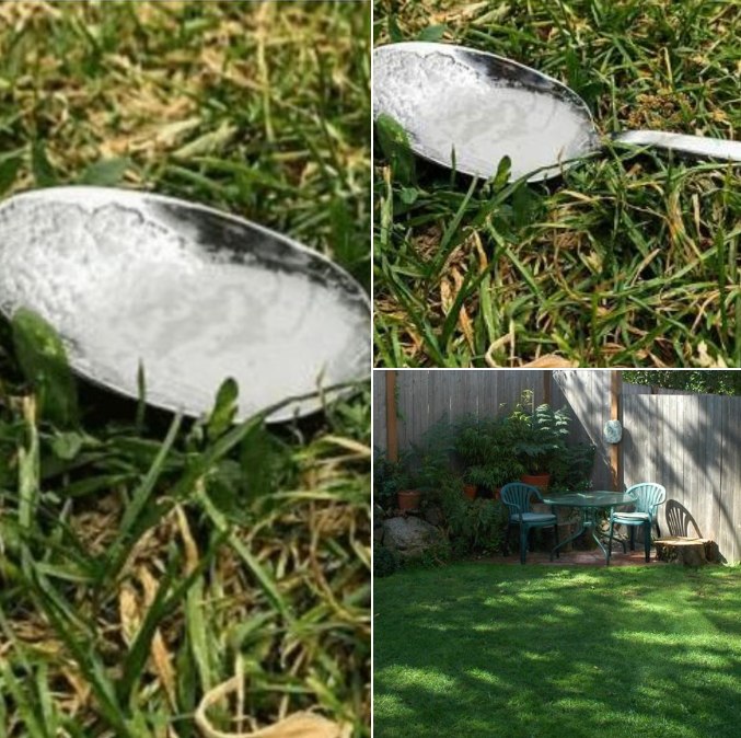 If you spot a sugary spoon in your yard, you had better know what it means
