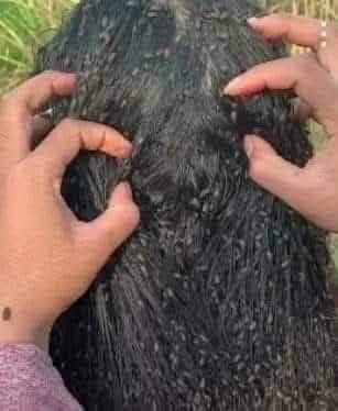 For those who sleep with wet hair, you should know that… See more