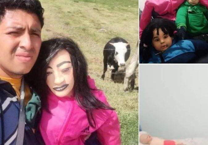 Man Marries Ragdoll and Starts a Family: A Unique Story of Love and Loneliness