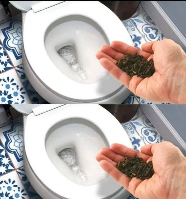 The cool method for deodorizing the bathroom with no urine smell