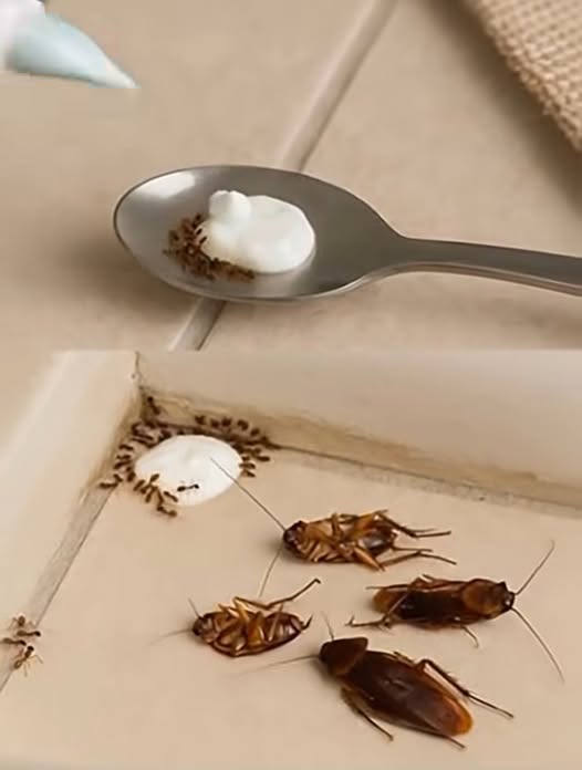Try This Simple Homemade Mix to Keep Flies and Pests Away Naturally
