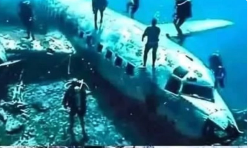 They find missing plane after 40 years with over 92 pa…see more