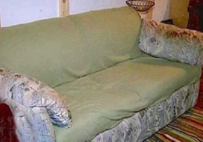 A Treasure Found in an Unexpected Place