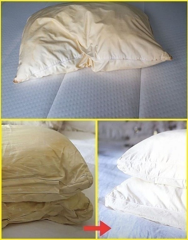 HomeHereโs how to clean dirty pillows from bed to leave them white and sweet scentโฆ Hereโs how to clean dirty pillows from bed to leave them white and sweet scentโฆ