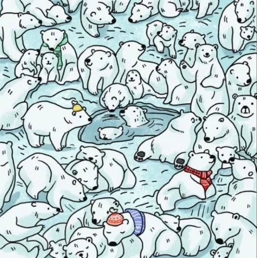 Test Your Observation Skills: Can You Spot the Hidden Seal Among the Polar Bears?