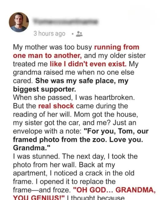 Grandma’s Last Gift: The Photo That Changed