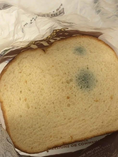What Are These Greenish Spots on Bread? Experts Warn Against Eating It