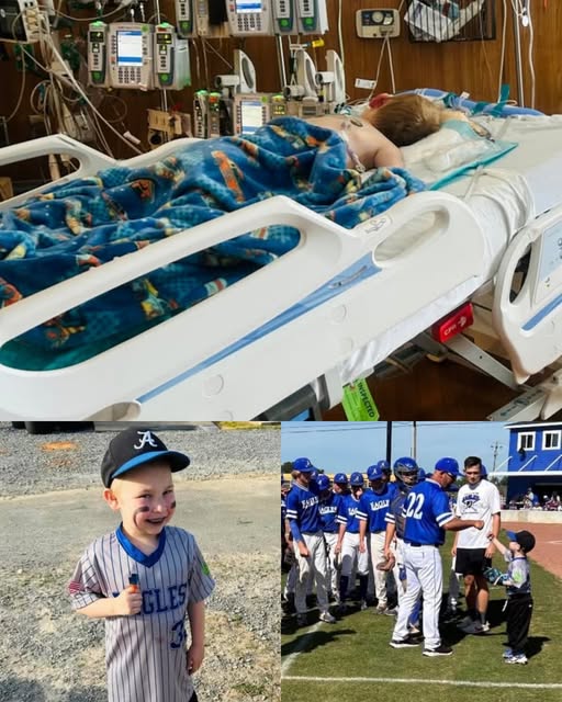 The Little Fighter Living Up to His Name