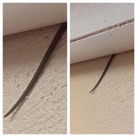 Online User Discovers Mysterious Object Hanging From Ceiling