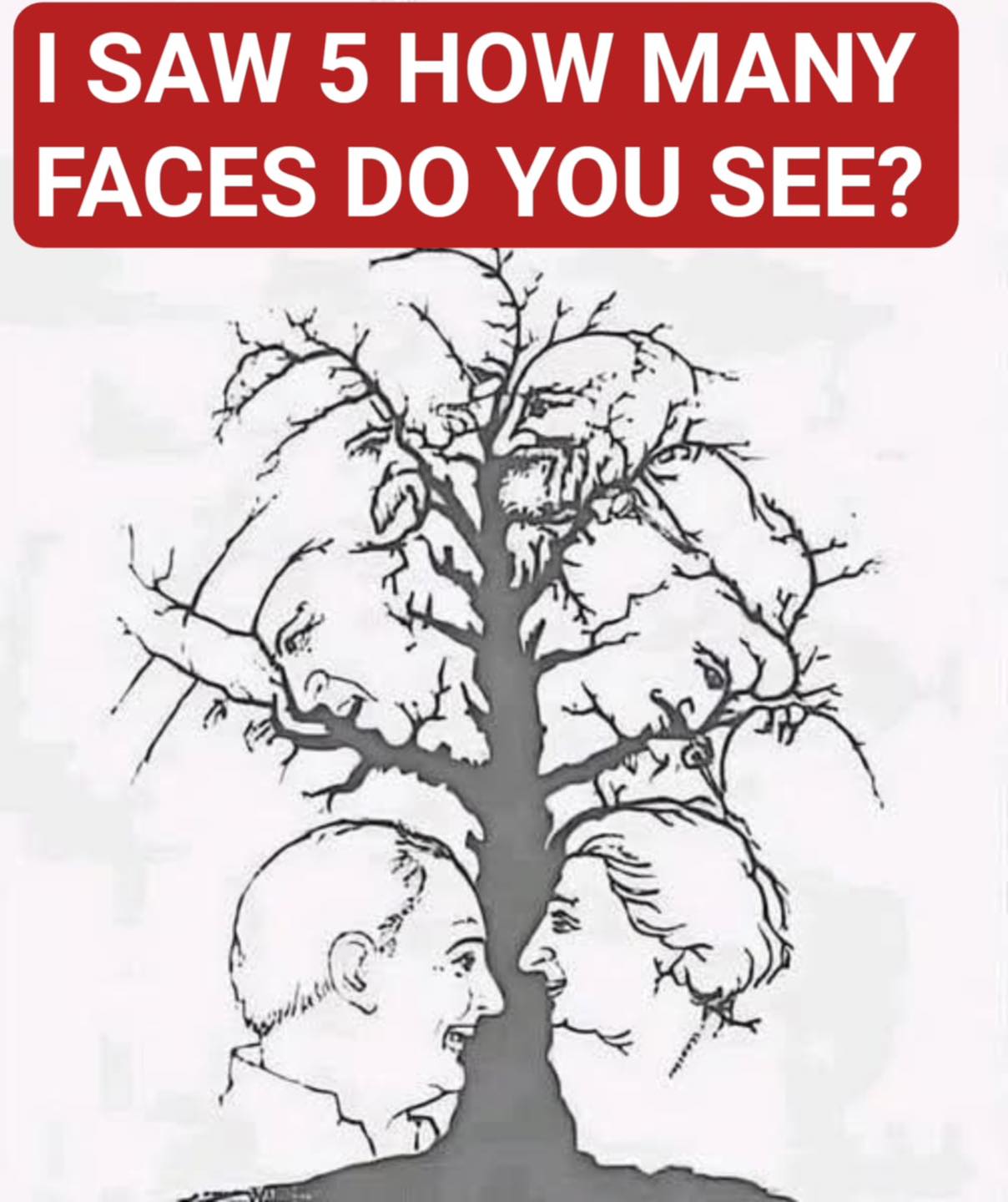 Only a Few People Notice Every Face Hidden in This Tree – Can You?