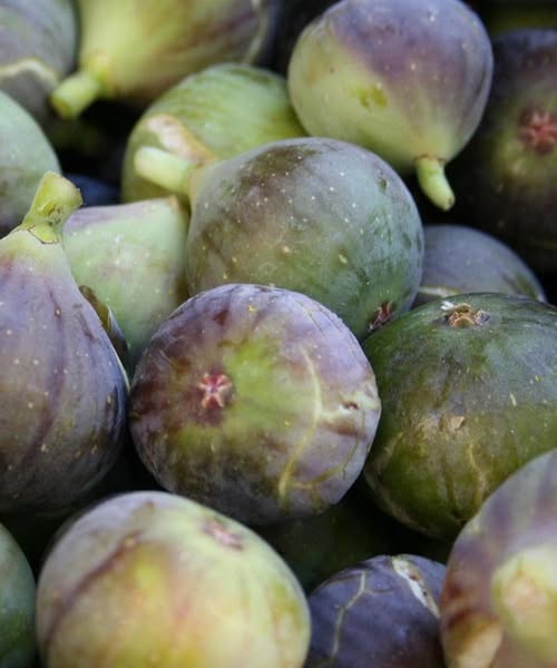 Doctors reveal that eating figs causes… See more…