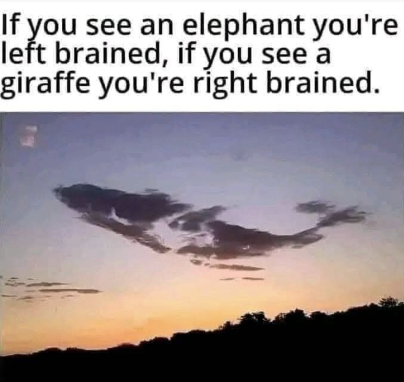 WHAT ARE YOU SEEING??