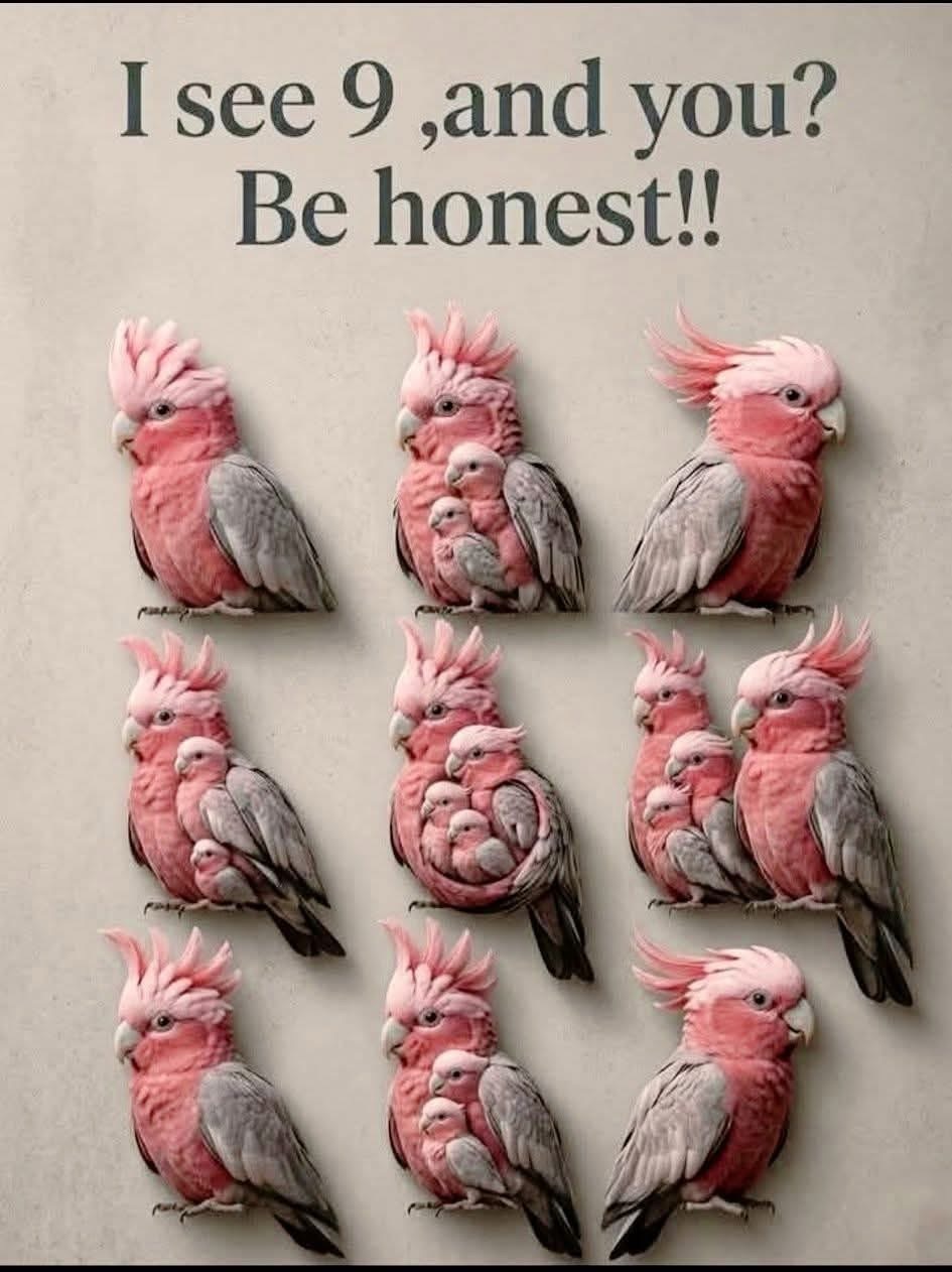 Be honest!!
