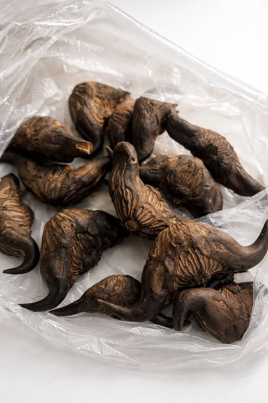 My Neighbor Gave Me a Bag of These — Here’s How I Discovered What They Were