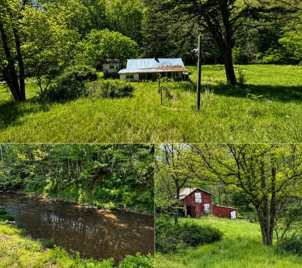 Home with 3.4 Acres in Big Stone Gap, Virginia