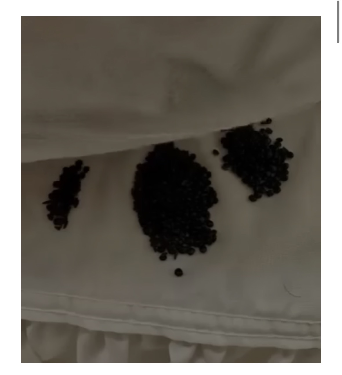 What I Found Under My Mattress Taught Me an Important Life Lesson