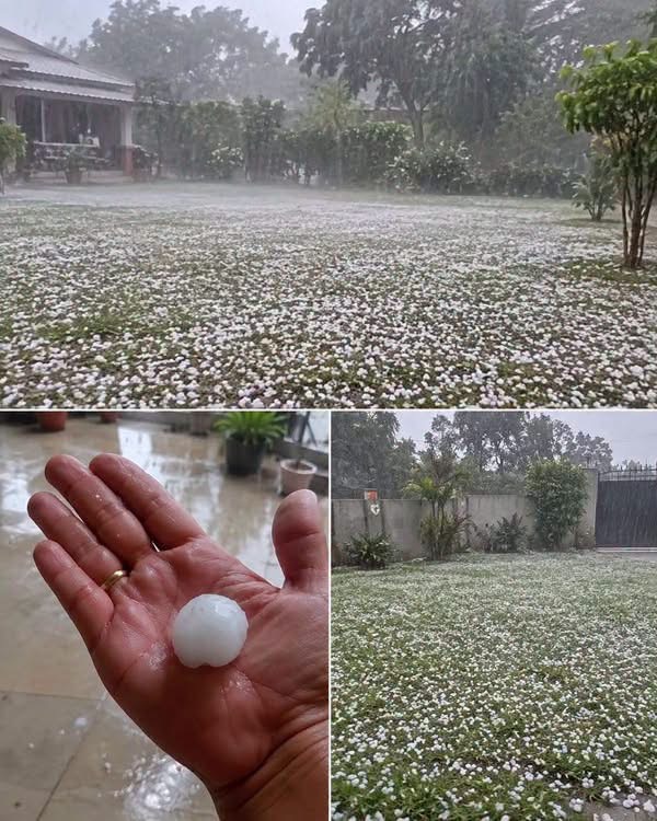 Giant hail recorded Tuesday evening in the town of…