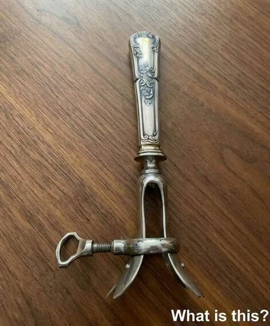 The Forgotten Object Hidden in My Grandmother’s Drawer Sparked a Family Mystery That Brought Us Closer Than Ever Before