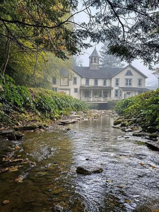 This Enchanting Old House Sits Beside a Peaceful Creek—Its Timeless Beauty Will Leave You Mesmerized