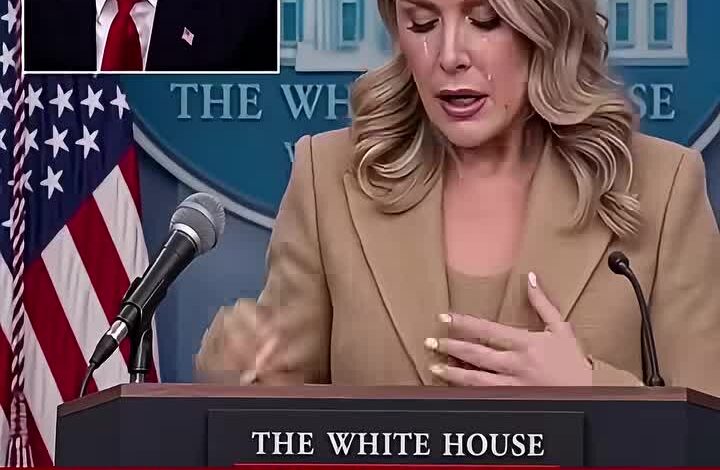 Leavitt Sets Media Straight With Fact Check On Joe Biden