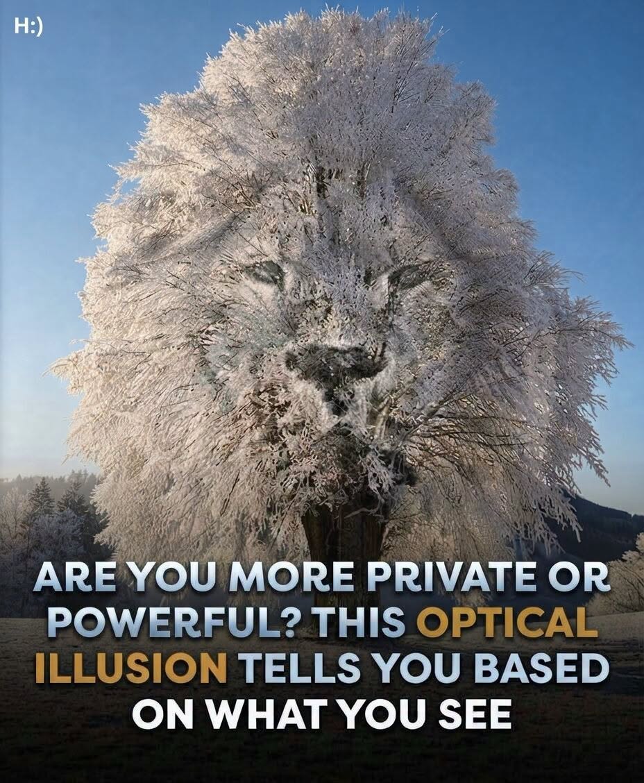 What Did You See First ?