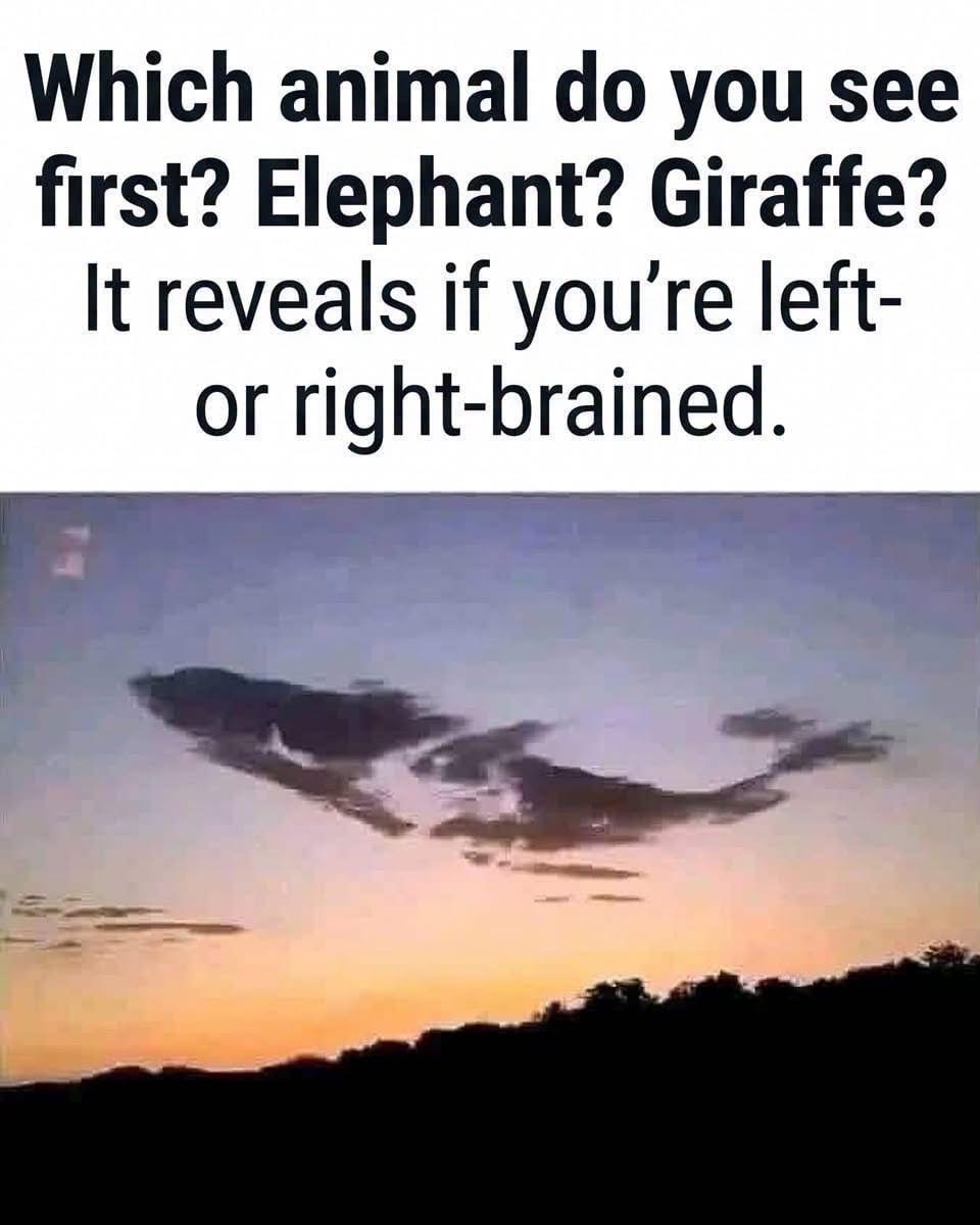 Which animal do you see first? Elephant? Giraffe?
