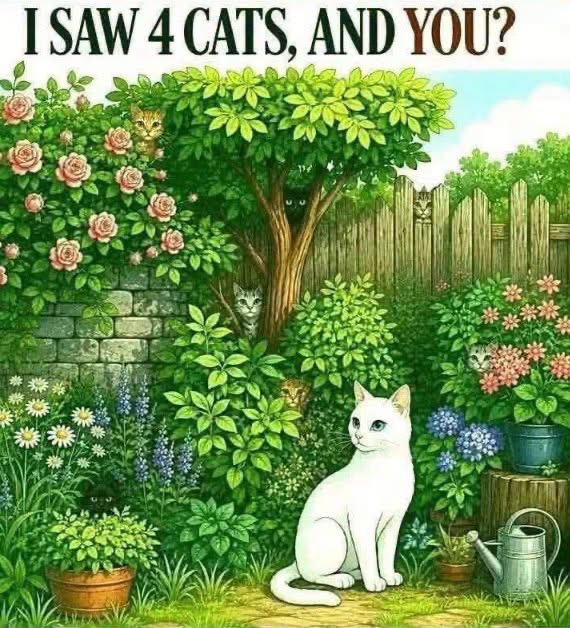 THE 8 CATS ARE WELL HIDDEN!