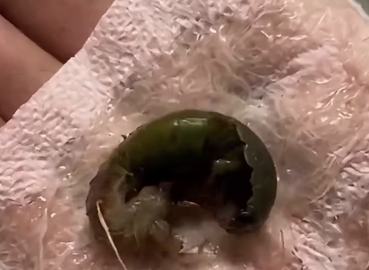 A Mysterious Discovery on Our Bathroom Floor Left Us Searching for Answers