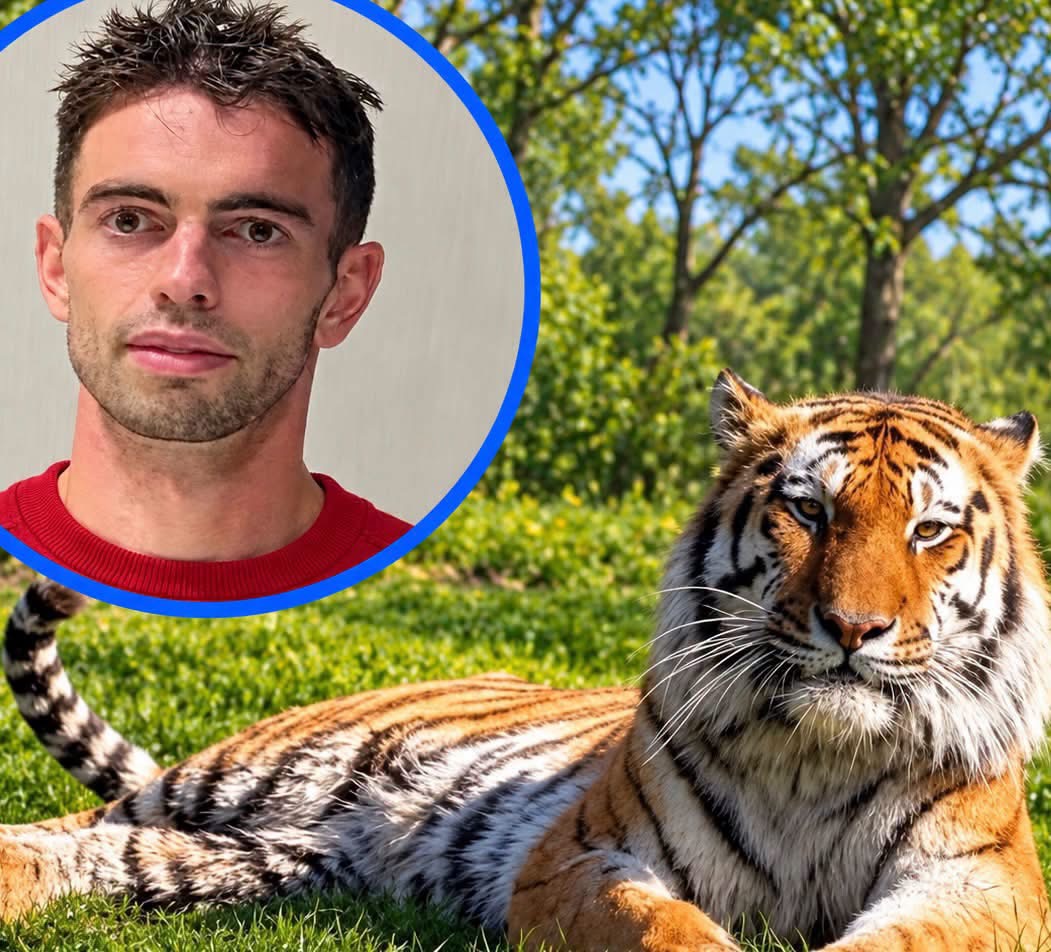 Man Killed In Tiger Attack At Yorkshire Wildlife Park Is Named As William Chapman
