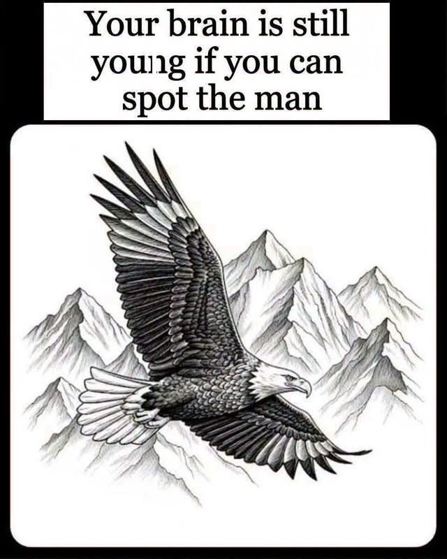 Can You Spot the Hidden Figure in This Eagle Illusion?