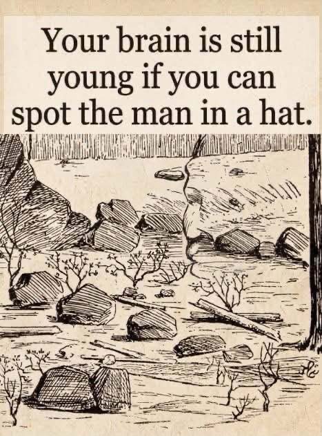 Can You Spot the Hidden Man in the Hat? This Optical Illusion Has Viewers Looking Twice
