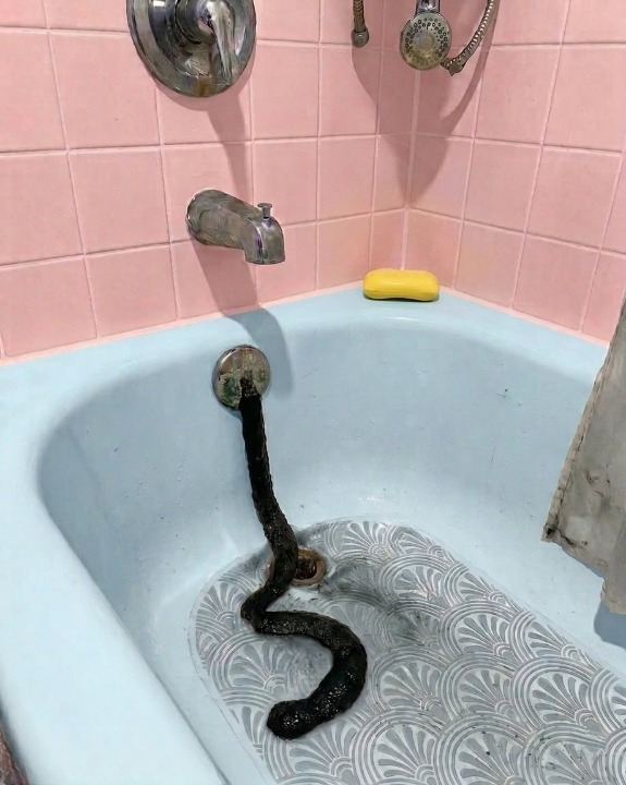 The Shape in the Drain: Why Ordinary Household Discoveries Can Look So Strange