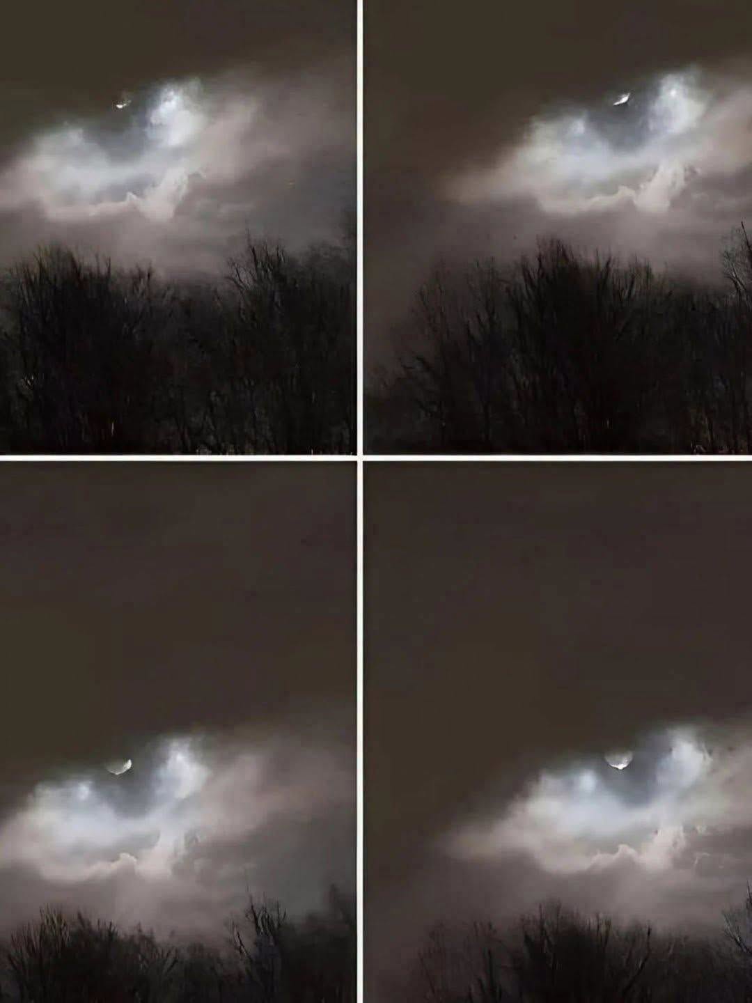 My brother took this photo only 21 km from our house! She shared it on her page, but no one noticed the most important detail! Read the first comment to find out more.