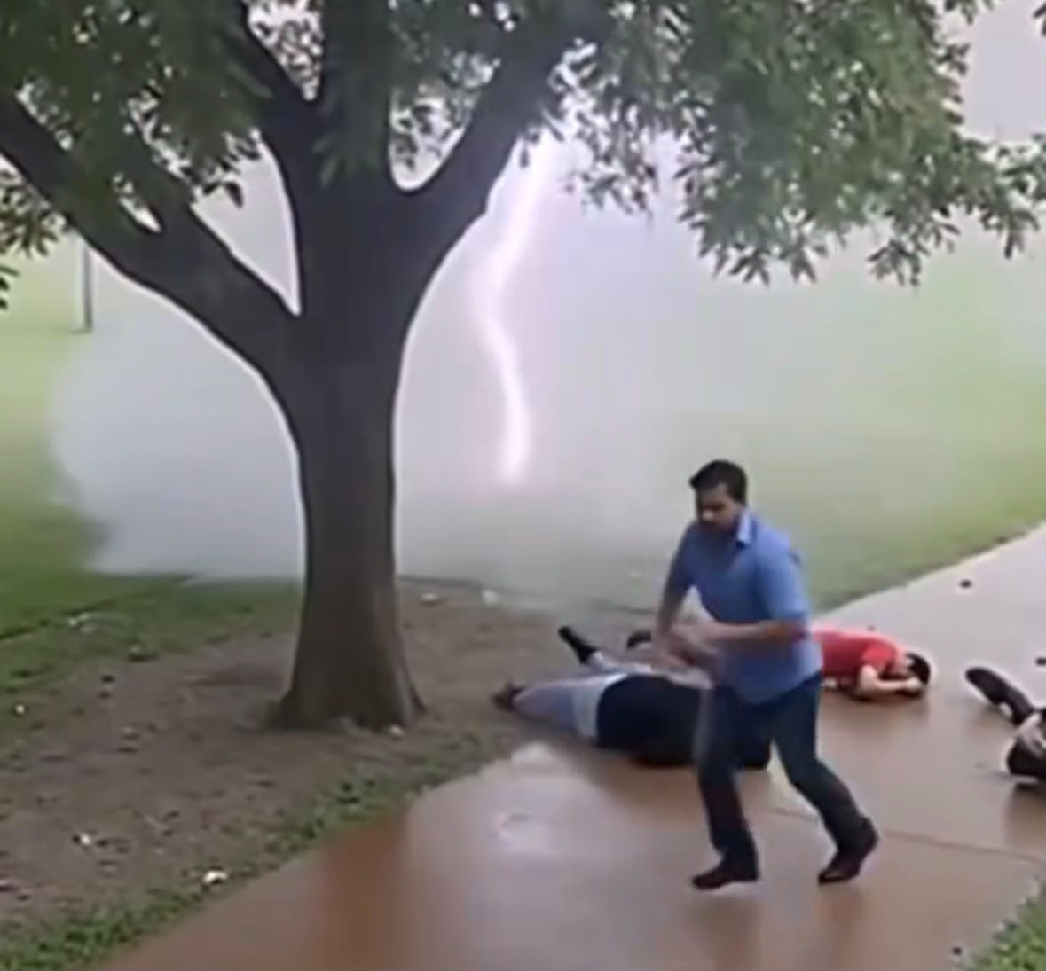 Does Video Show People Killed by Lightning Striking a Tree?